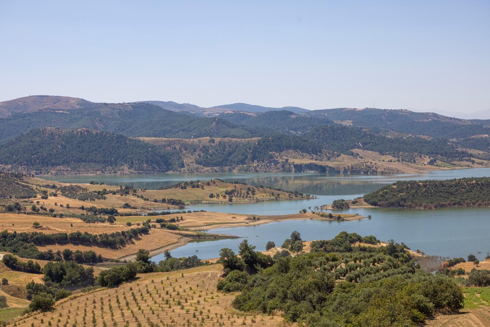 10-219