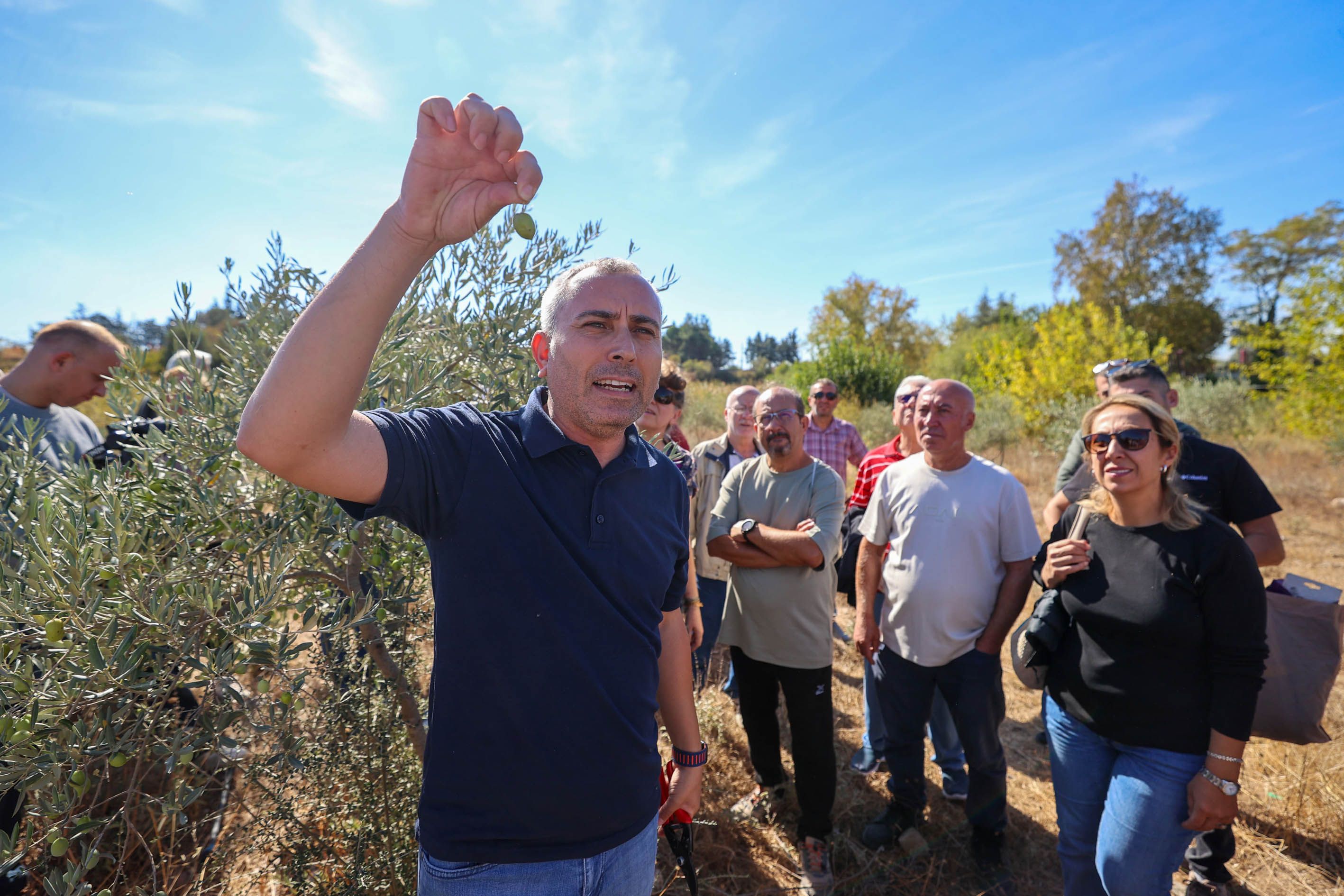 Buca Zeytin Budama3