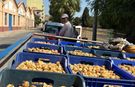 Başkan Zencirci İncir Üreticilerini Unutmadı