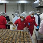 Kadın Emeği Tarımsal Ürün Fabrikası'yla Yerel Üretim Dünyaya Açılıyor