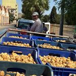 Başkan Zencirci İncir Üreticilerini Unutmadı