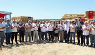 Bucalı Üreticilere Saman Balyası Desteği