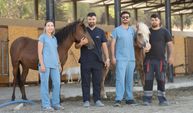 Pako'da Bakılan Binek Hayvanlar Sahiplendiriliyor