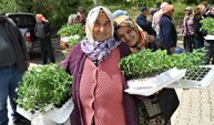 Bornova'dan Üreticiye Can Suyu: 150 Bin Yazlık Sebze Fidesi Dağıtıldı