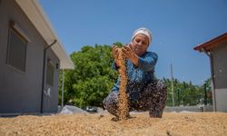 Ata Ekmeği ve Armola Şenliği Ulamış'ta Binleri Ağırladı