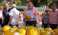 Çeşme Ovacık'ta Festival Heyecanı Başlıyor