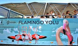 Flamingo Yolu'na 4 Binin Üzerinde Ziyaretçi