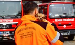 İzmirli İtfaiyeci Deprem Mağduru Köpeğe Yuvasını Açtı