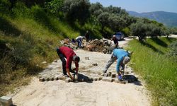 Efes Selçuk'ta Üreticiler İmeceyle Yollarına Kavuştu