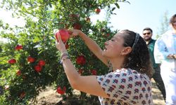 Efes Selçuk 'Nar Tanesi' ile Şenlendi