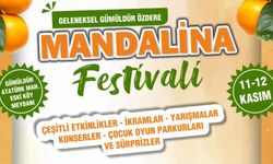 Mandalina Festivali İçin Geri Sayım Başladı