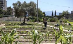 Karşıyaka'da Tohumlar Toprakla Buluştu