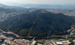 İzmir'deki Yangından 4 Bin Hektarlık Alan Etkilendi