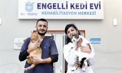 Konak'ın Engelleri Aşan Kedi Evi'nden Sahiplenme Çağrısı