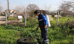 Efeler'de Sineklerle Mücadele Yıl Boyunca Devam Ediyor