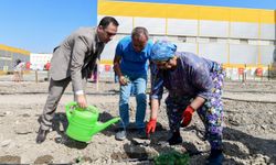 Bornova Tohum Takas Şenliği 15 Şubat'ta