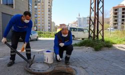 Efeler Belediyesi Halk Sağlığını Koruyor