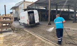 Efeler'in Pazarları Pırıl Pırıl: Hem Düzenli Hem Hijyenik