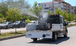 Buca'da Haşere ve Zararlılara Karşı İlaçlama Seferberliği