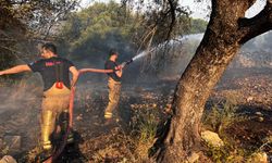 Çeşme'de Yangınla Mücadele Sürüyor