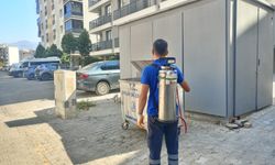 Efeler'de Karasineklerle Yaz Boyu Etkin Mücadele