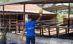 Efeler'de Sineklerle Mücadele Aralıksız Sürüyor