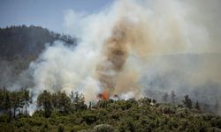 Seferihisar ve Menderes Yangınlarının Bilançosu Ağır