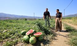 Başkan Sengel'den Karpuz Üreticisine Destek Eli
