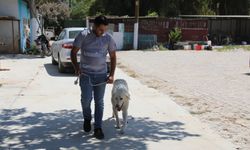 Efes Selçuk'ta "Satın Alma Sahiplen" Çağrısı