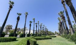Kültürpark'ın Palmiyelerine Yapay Zeka Koruması