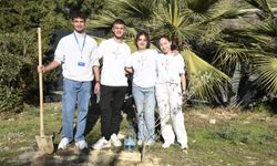 Kuşadası'nda Zeytin Ağaçları 'Barış ve Kardeşlik' İçin Dikildi