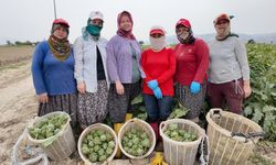 Efeler'in "Topraktan Tabağa" Projesi Türkiye'ye Örnek Oldu