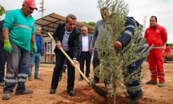 Başkan Yetişkin'den Efeler'e Yeşil Dokunuş