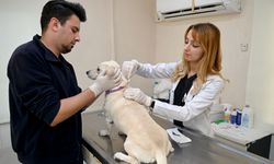 Kuşadası Belediyesi Veteriner İşleri'nden 'Mikroçip' Uyarısı