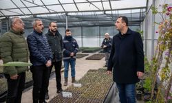 Bornova Kendi Yeşilini Kendi Üretiyor