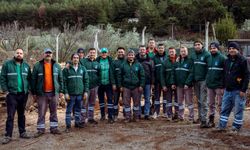 Kuşadası'nda Ağaç Atıkları Kara Kışta Yakacağa Dönüşüyor