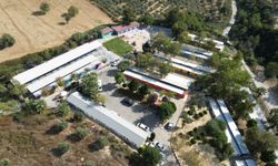 Kuşadası Belediyesi 2025'te de Can Dostların Yanında Oldu