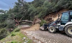 Efeler'de Yağış Sonrası Yollara Hızlı Müdahale