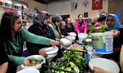 Bornova'da Kompostla Dönüşen Kent Tarımı