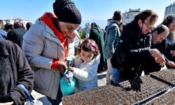 Bornova'nın Kent Bostanlarında Yaz Mesaisi Başladı