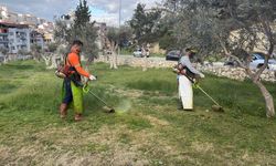 Kuşadası Belediyesi Daha Temiz ve Daha Yeşil Bir Kent İçin Çalışıyor
