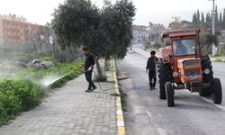 Bozdoğan'da Yabani Otlarla Mücadele Başladı