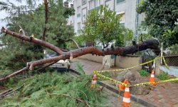 Efeler'de Sağanak Yağışın İzleri Siliniyor