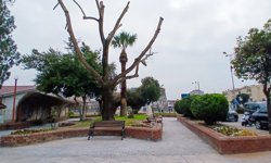 Efeler'de Yeşil Dönüşüm: Gül Esin Parkı Yeni Yüzüyle Işıldıyor