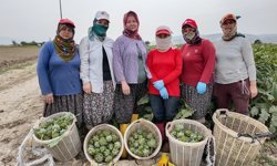 Efeler'in Başrolünde Kadın Var