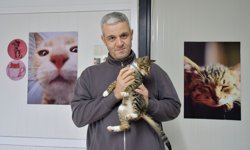 Kuşadası Veteriner İşleri'nden 'Kısırlaştırma' Çağrısı