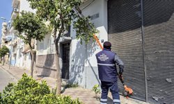 Efeler'in Tarihi Mirası Başkan Yetişkin ile Korunuyor