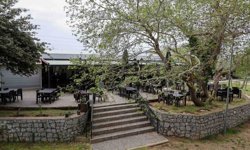 Buca'da Doğayla İç İçe Sosyal Hizmet: Dere Kafe