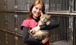 Buca'da 599 Patili Dost Sıcak Yuvaya Kavuştu