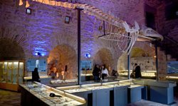 Deniz Ticaret Tarihi Sergi Alanı'na Yılın İlk Çeyreğinde Yoğun İlgi